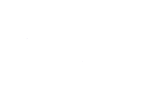 AVWaveda white logo copy